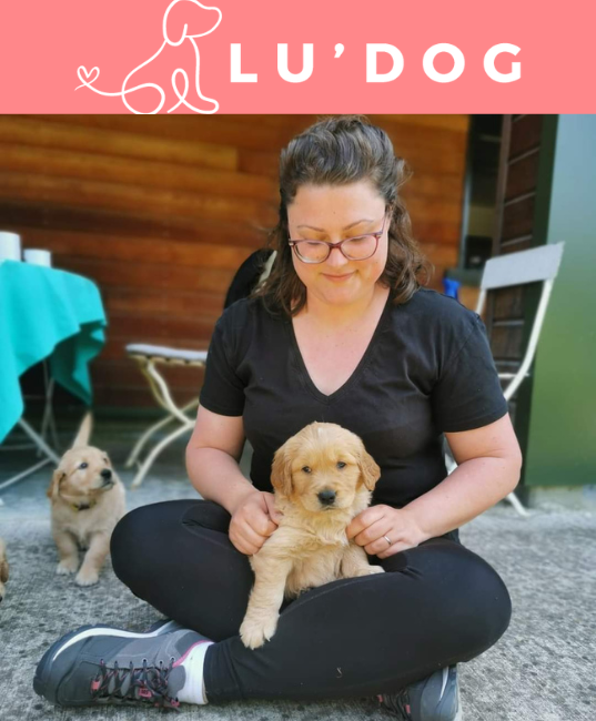 Lu'dog éducatrice et promeneuse avec un chiot